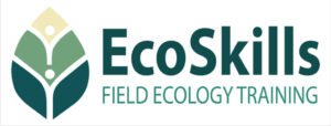 EcoSkills Logo